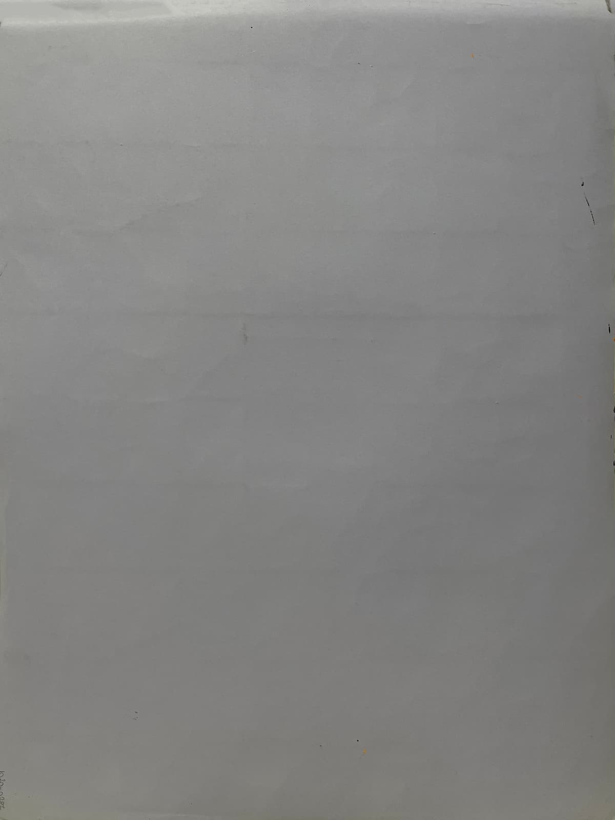 Térformák rendje - 2011