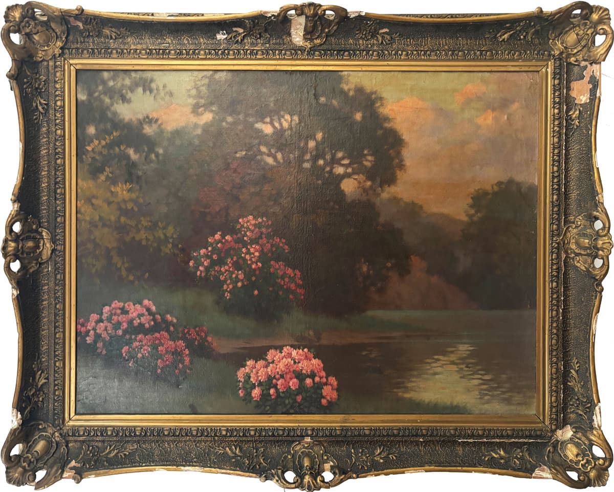 Rózsabokrok alkonyfényben a tóparton