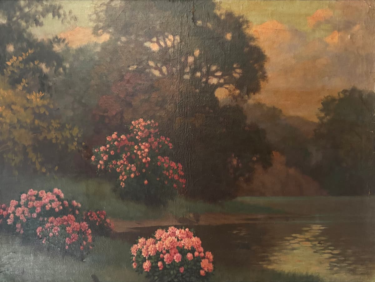 Rózsabokrok alkonyfényben a tóparton