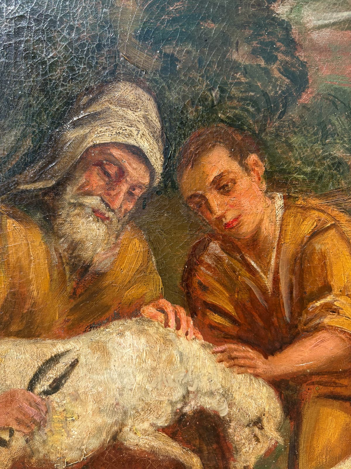 Shearing and the Scent of Milk