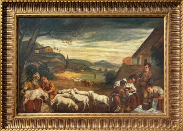 Shearing and the Scent of Milk