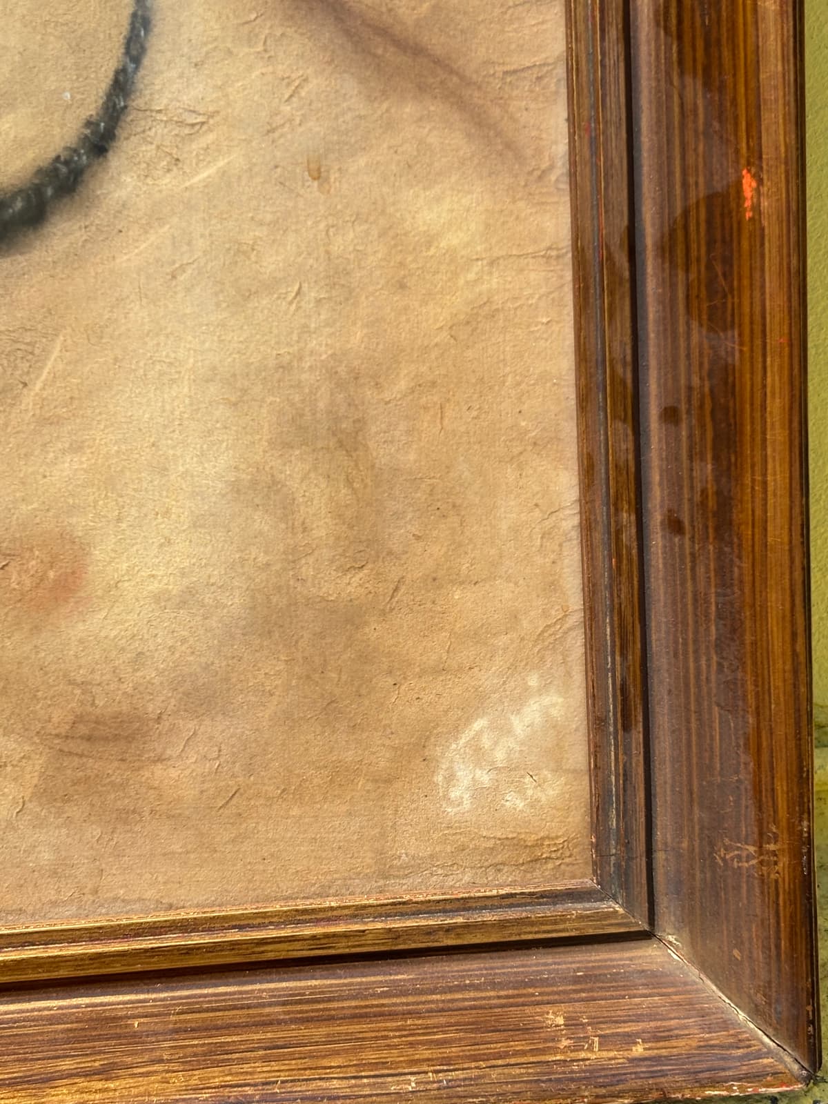 A szépség tiszta arca