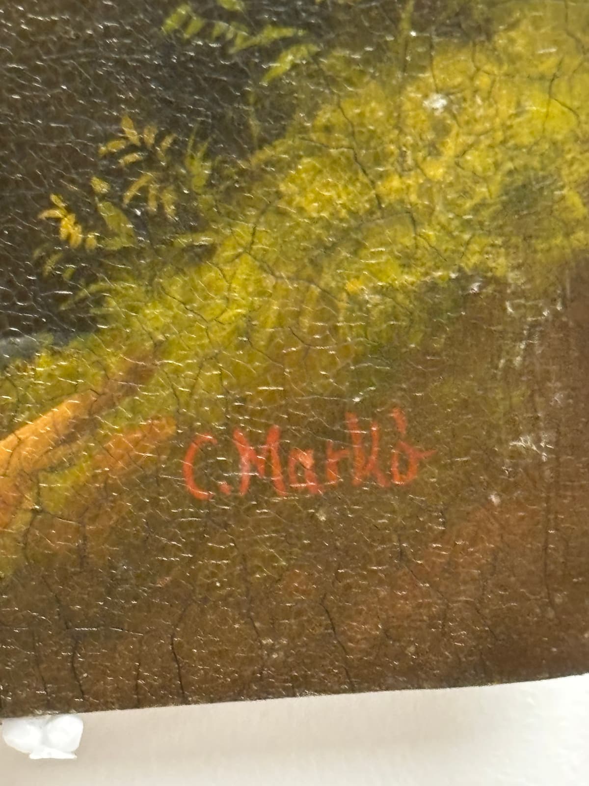 Alkonyi út a hegyi forrásnál