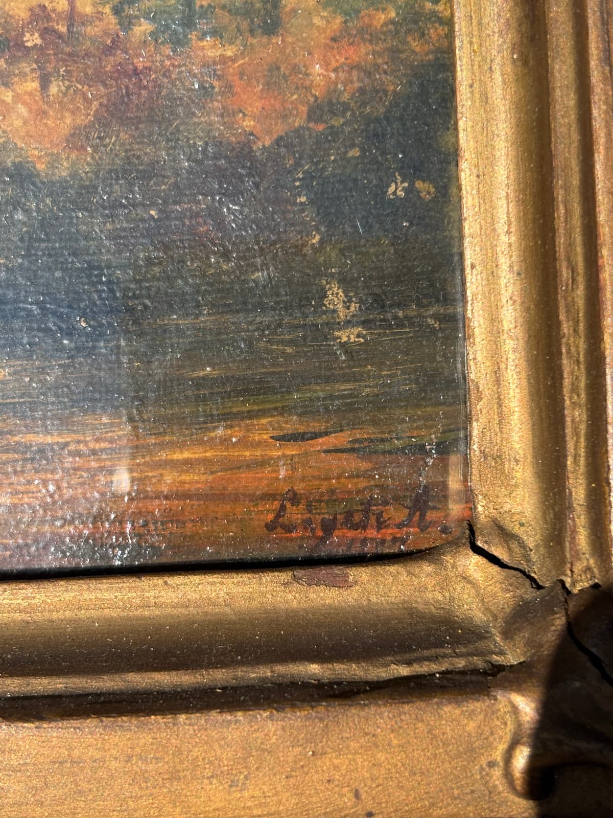 Romok a napsugárban