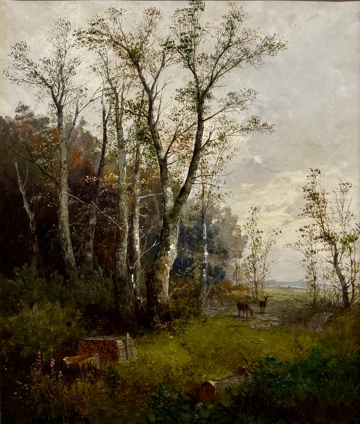 Erdős táj szarvasokkal