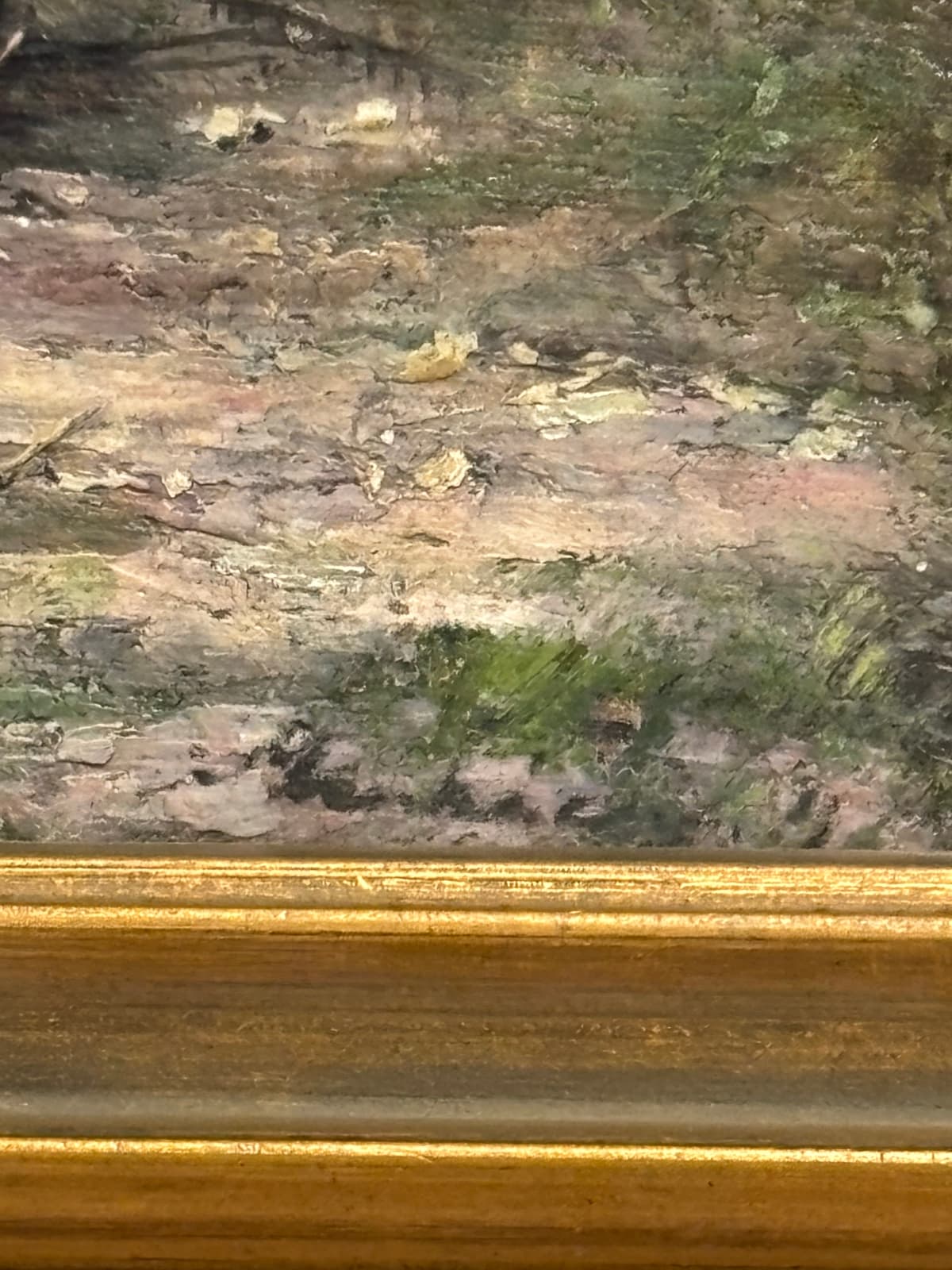 Fiatal pár a mezőn