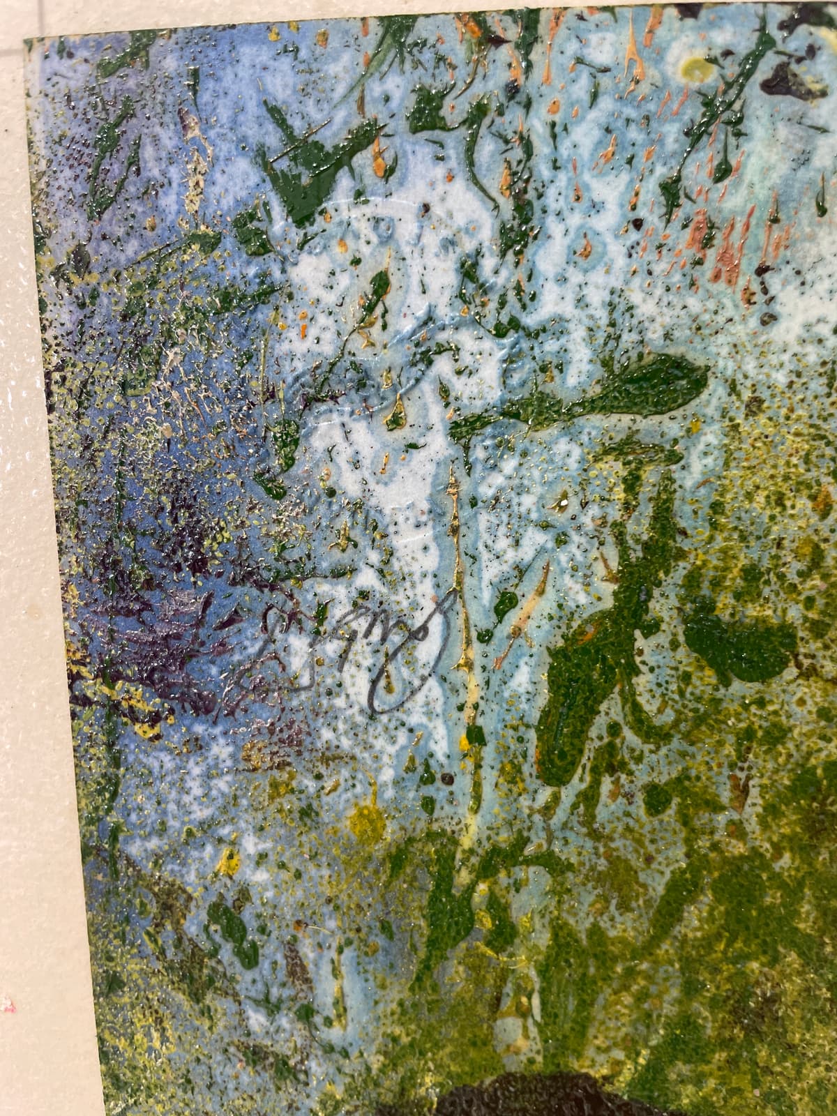 Colours of the Forest