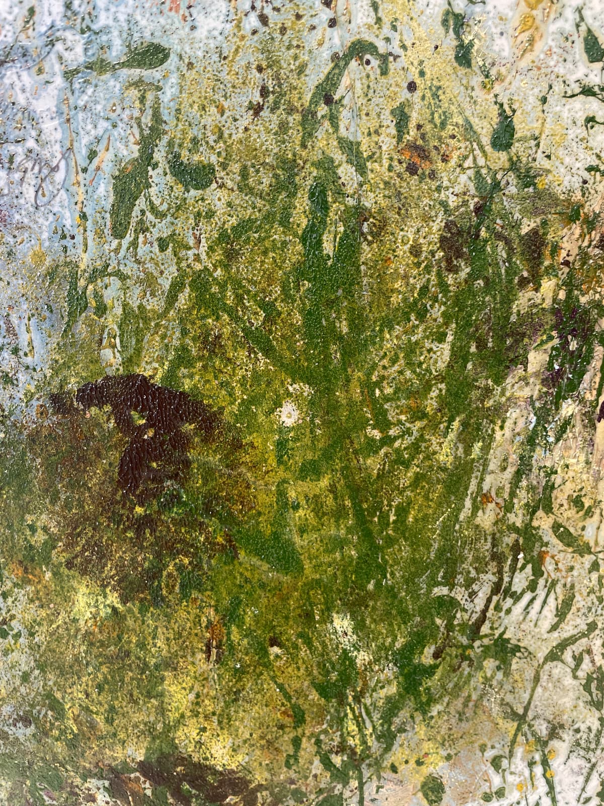 Colours of the Forest