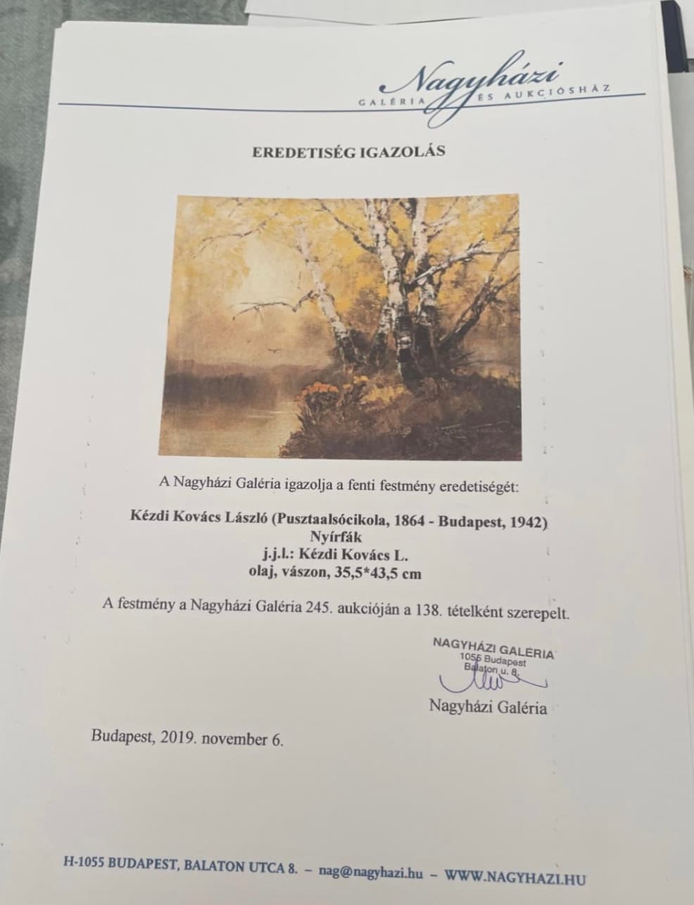 Nyírfák a vízparton