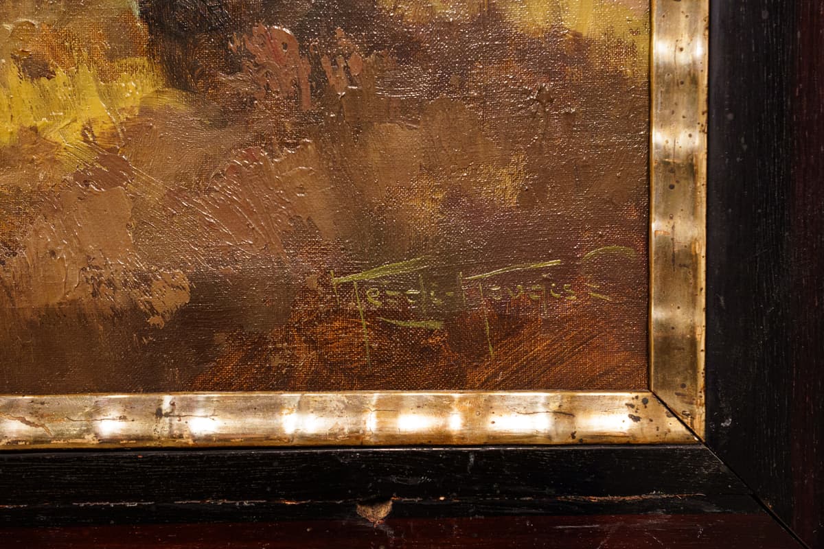 Nyírfák a vízparton