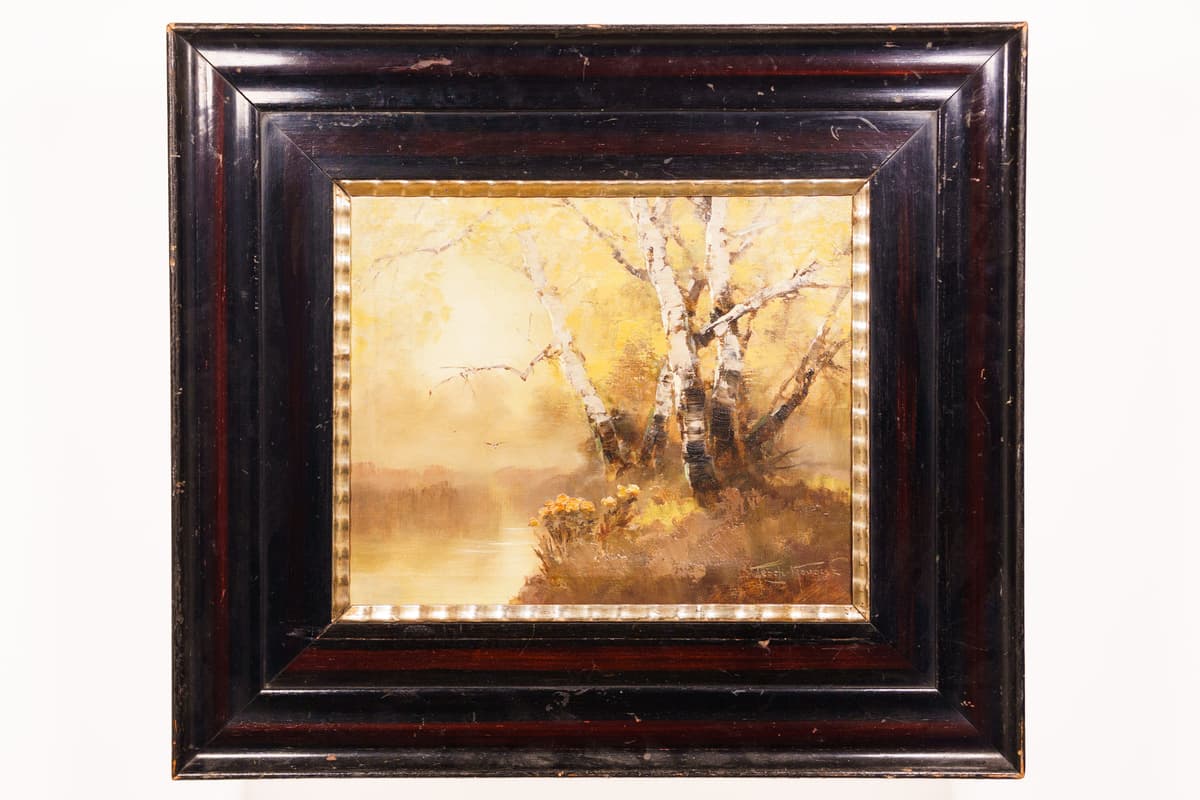 Nyírfák a vízparton