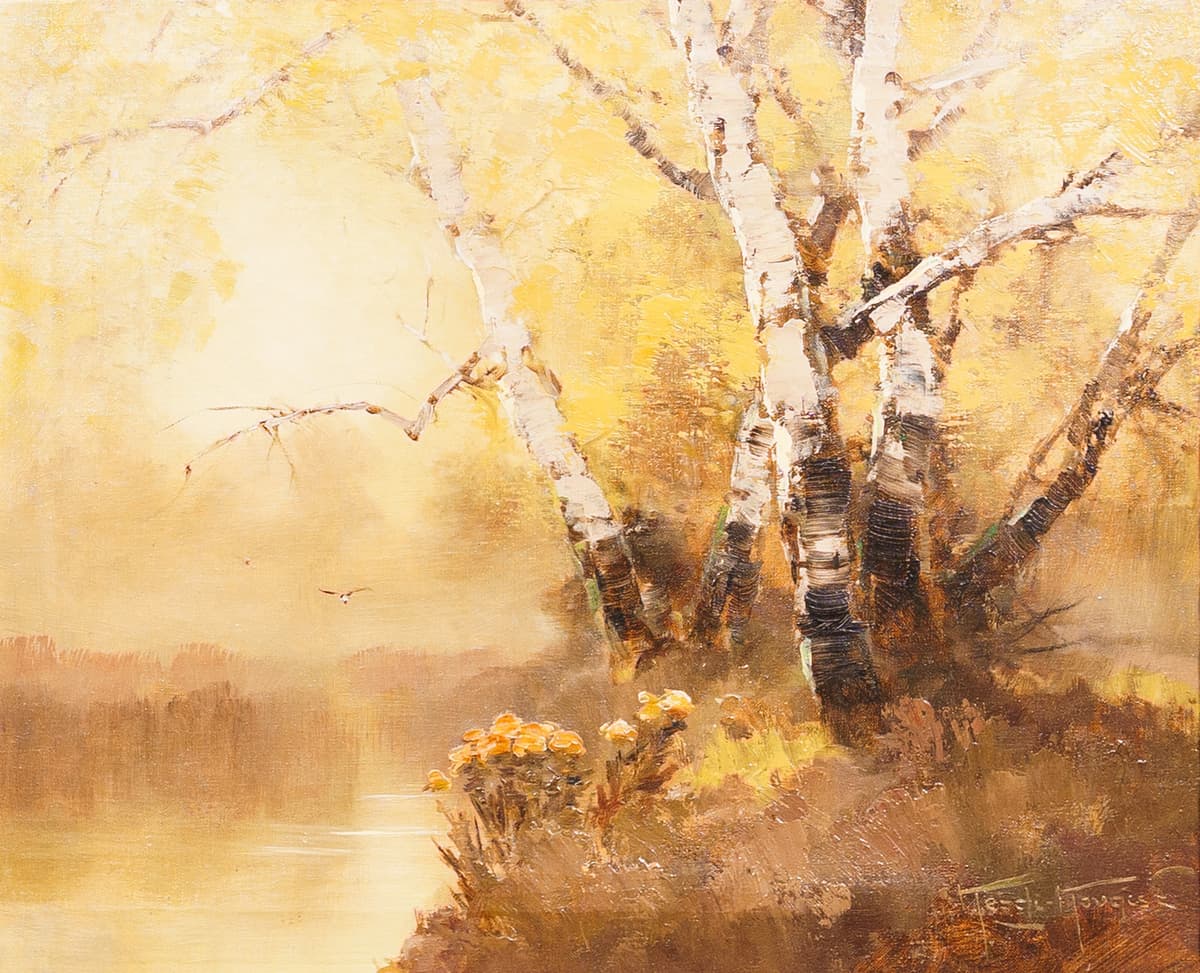 Nyírfák a vízparton