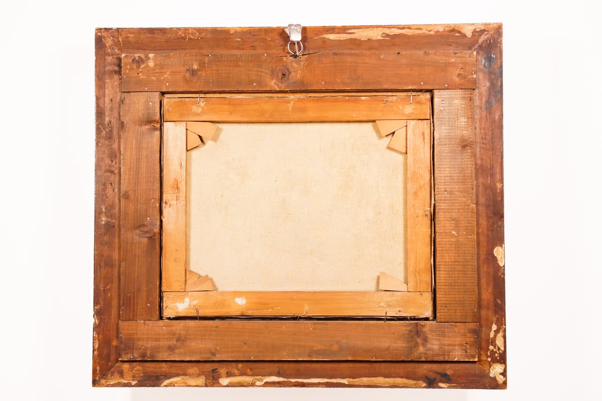 Nyírfák a vízparton