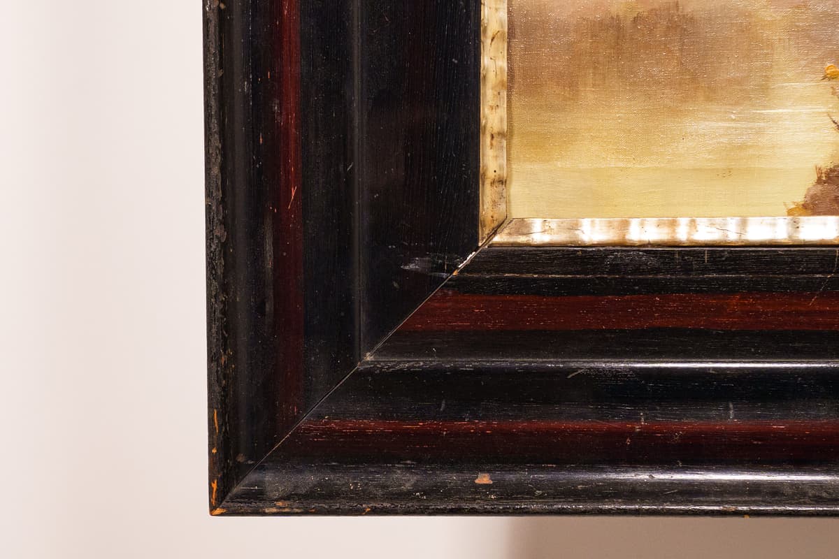 Nyírfák a vízparton