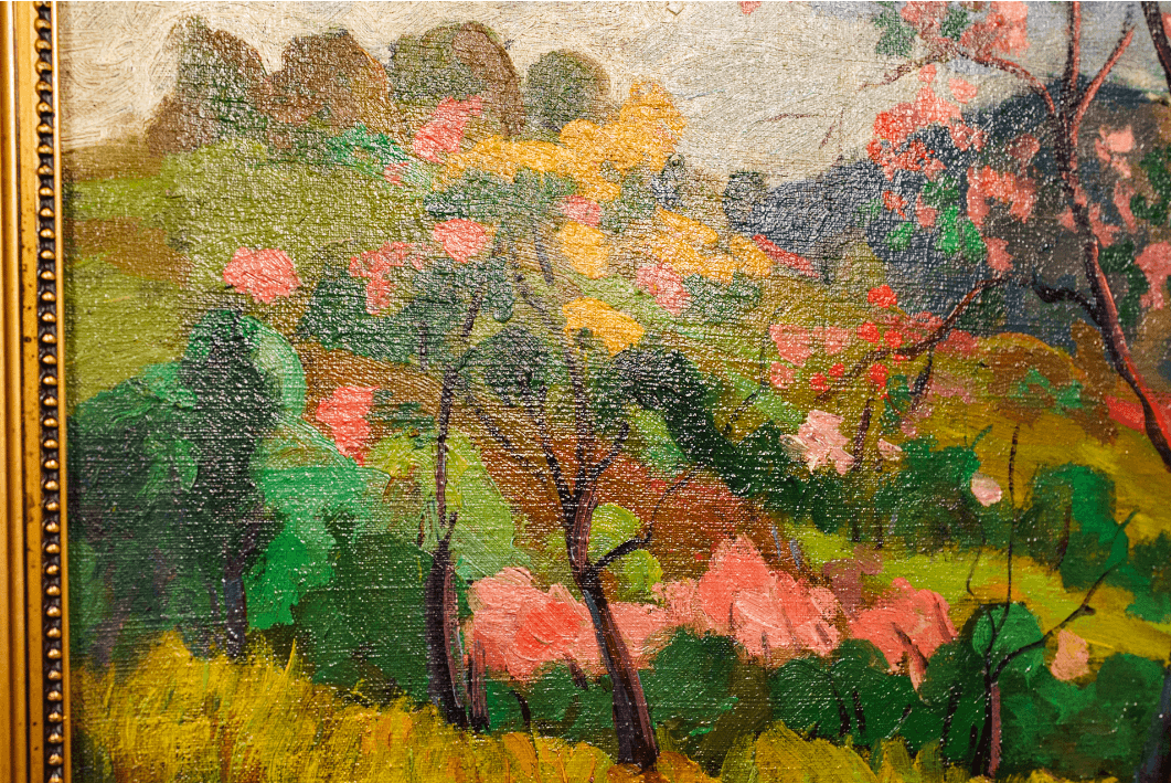 Tavaszi virágzás Nagybányán