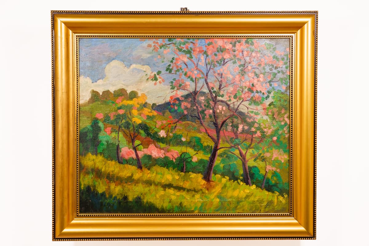 Tavaszi virágzás Nagybányán