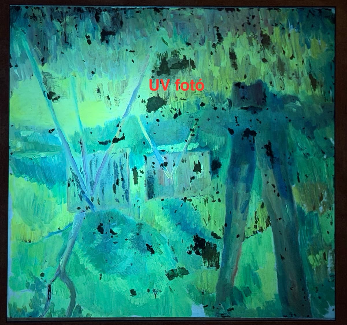 Festők a szabadban könyv címlapja