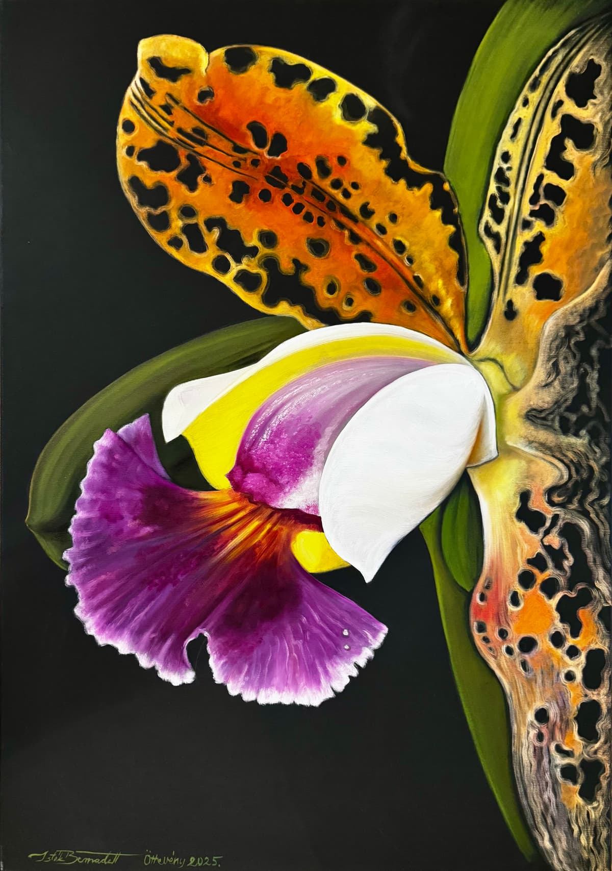 Dzsungel gyöngyszeme Orchidea