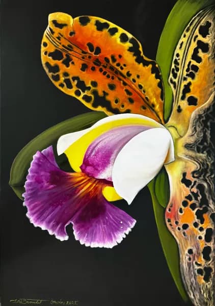 Dzsungel gyöngyszeme Orchidea