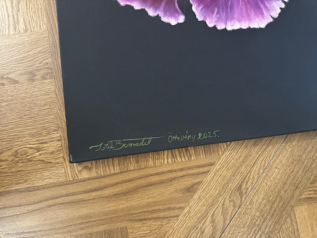 Dzsungel gyöngyszeme Orchidea