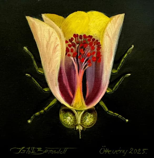 Tulipán bogár