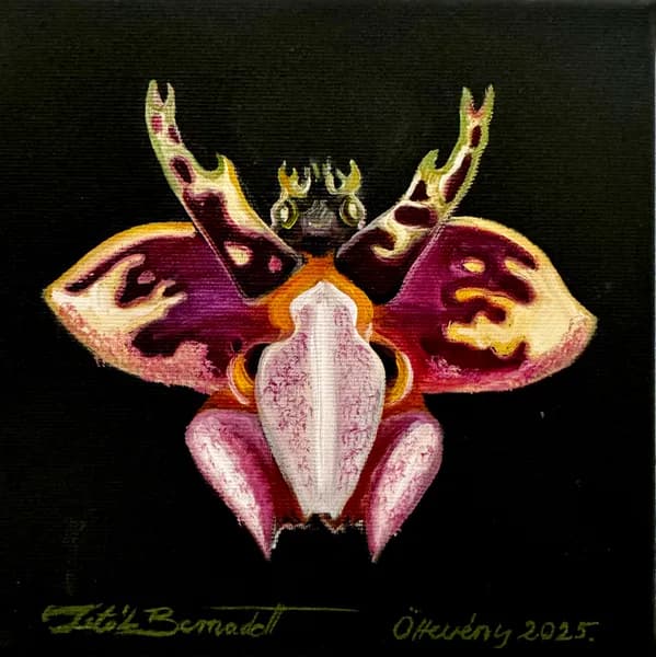 Orchidea bogár