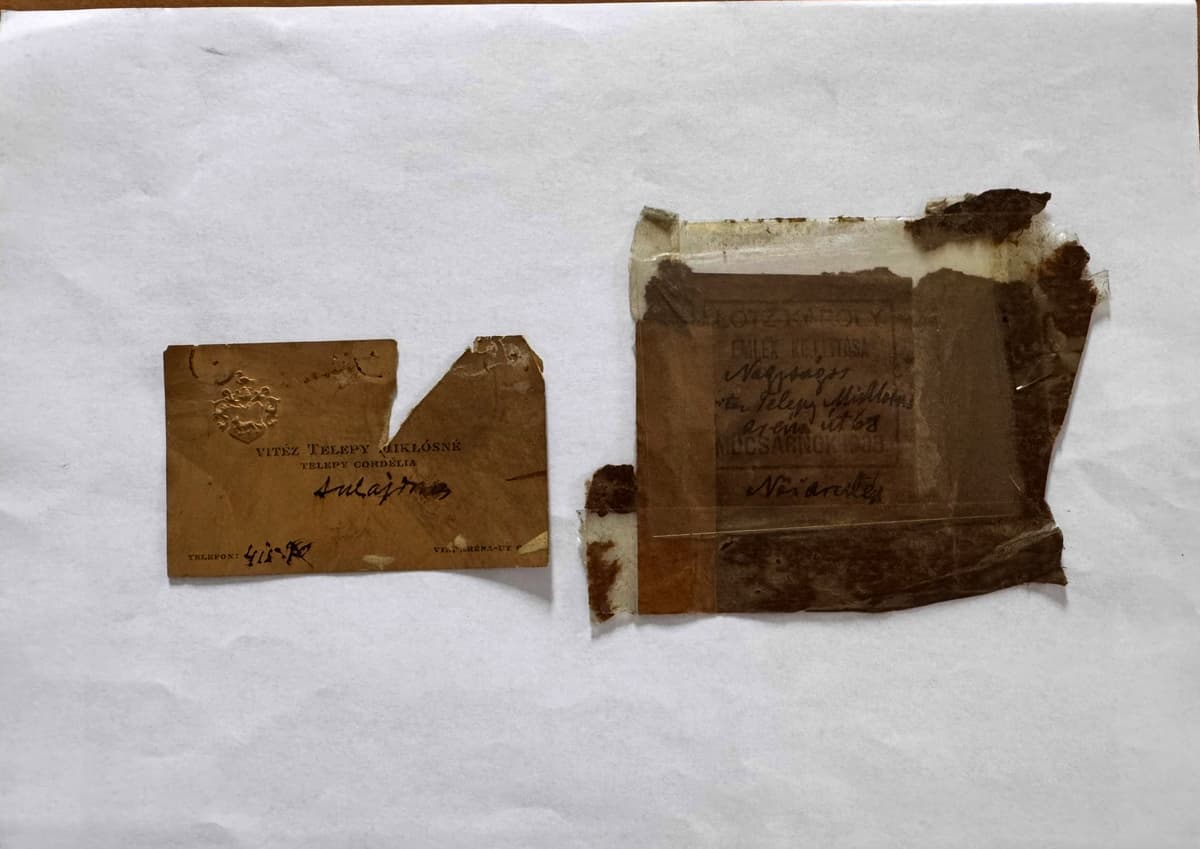 Női arckép - Lotz Kornélia