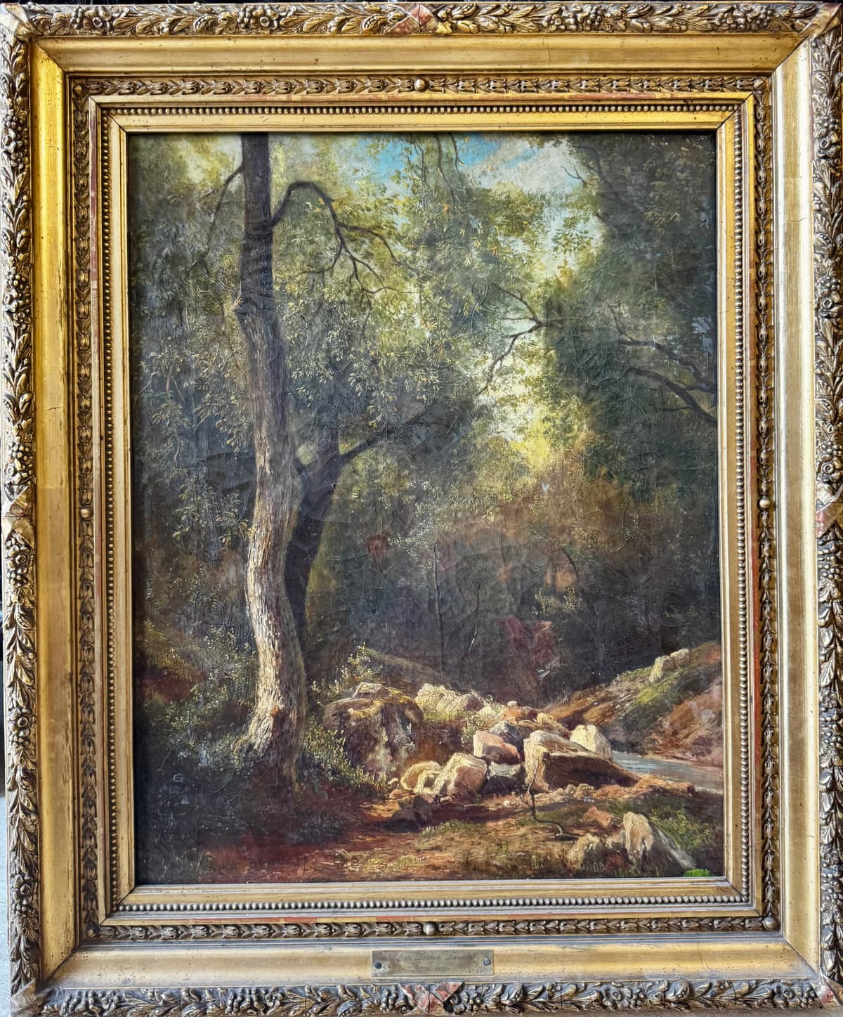 Forest detail, with stream bank