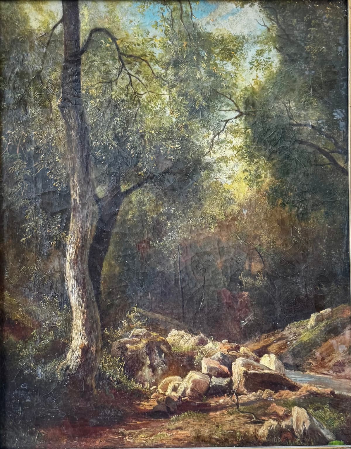 Erdei részlet, patakparttal