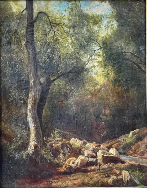 Erdei részlet, patakparttal