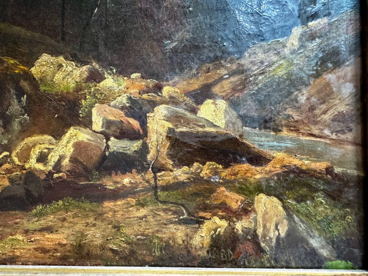 Forest detail, with stream bank