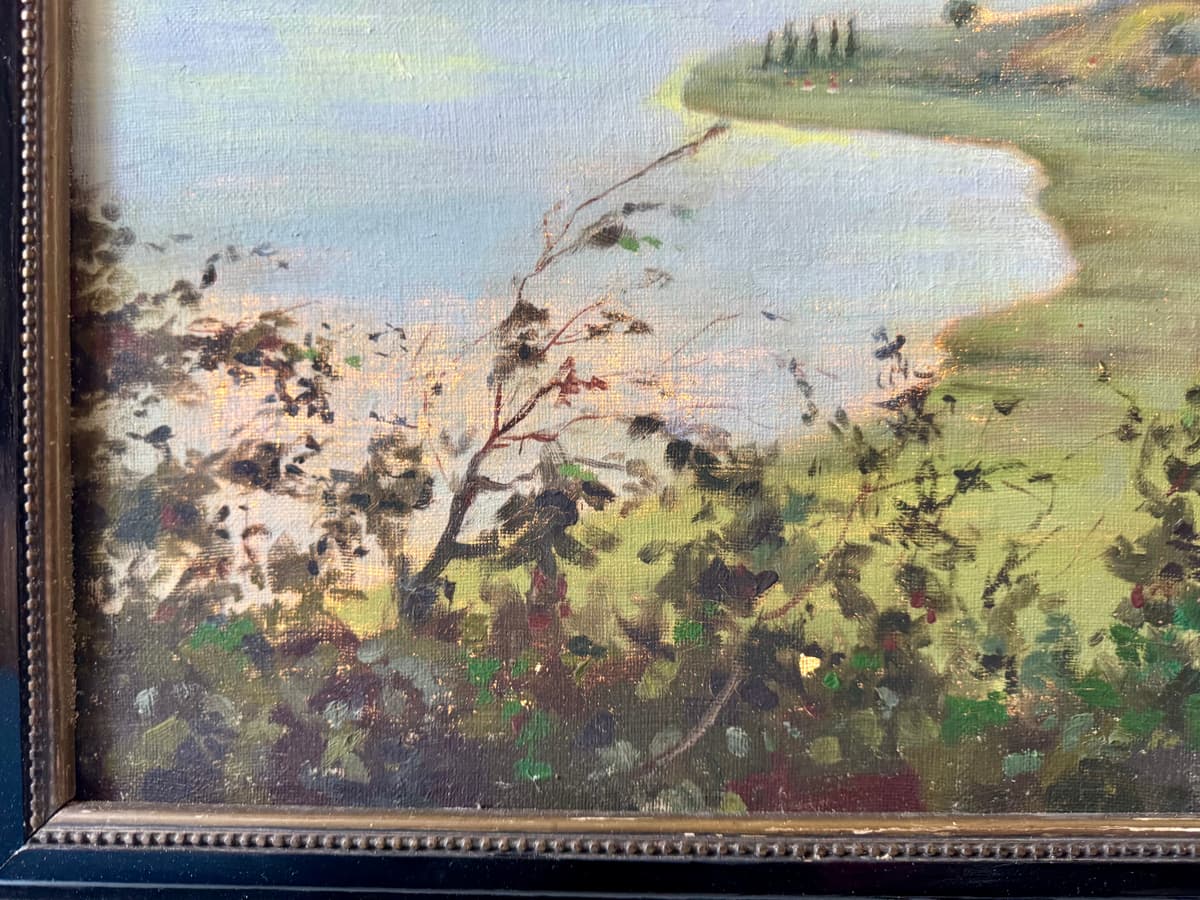 Badacsony landscape this year...
