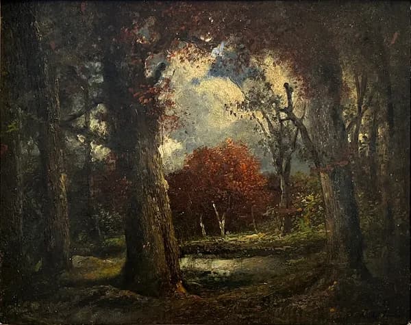 The Enchantment of the Autumn Forest