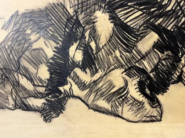 Poetry of Distinct Features