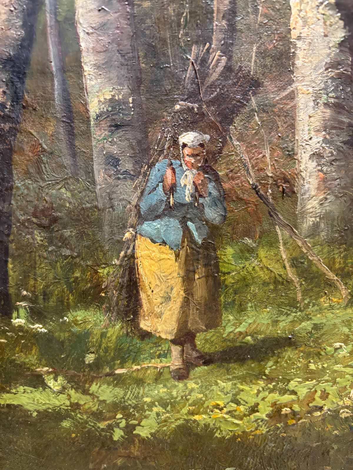 The Forest’s Gift