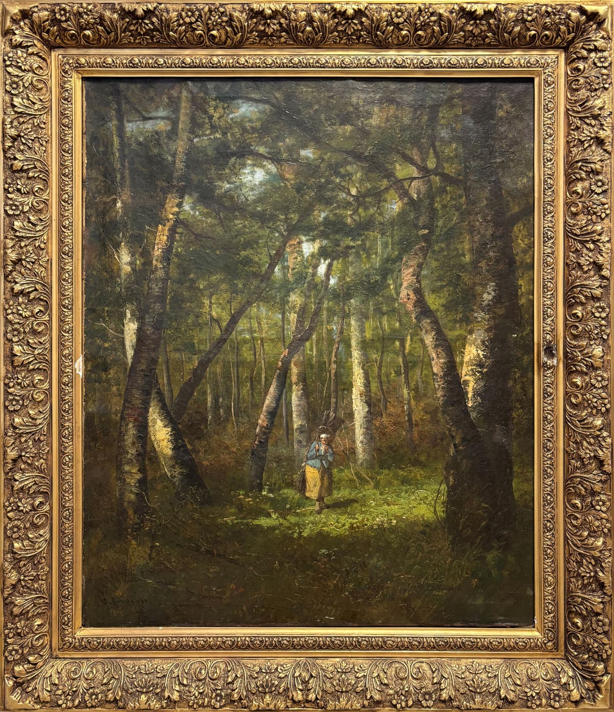 The Forest’s Gift