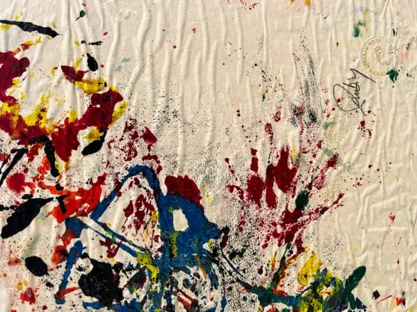 Explosion of Color in Silence