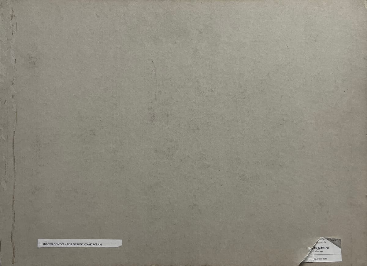 Idegen gondolatok összezúgnak rólam