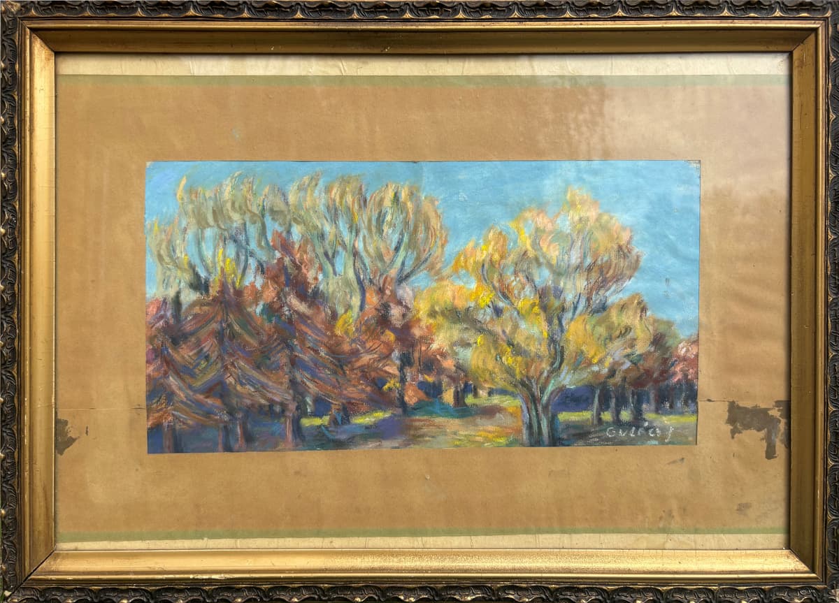 Őszi fények a ligetben