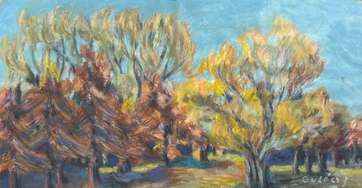 Őszi fények a ligetben