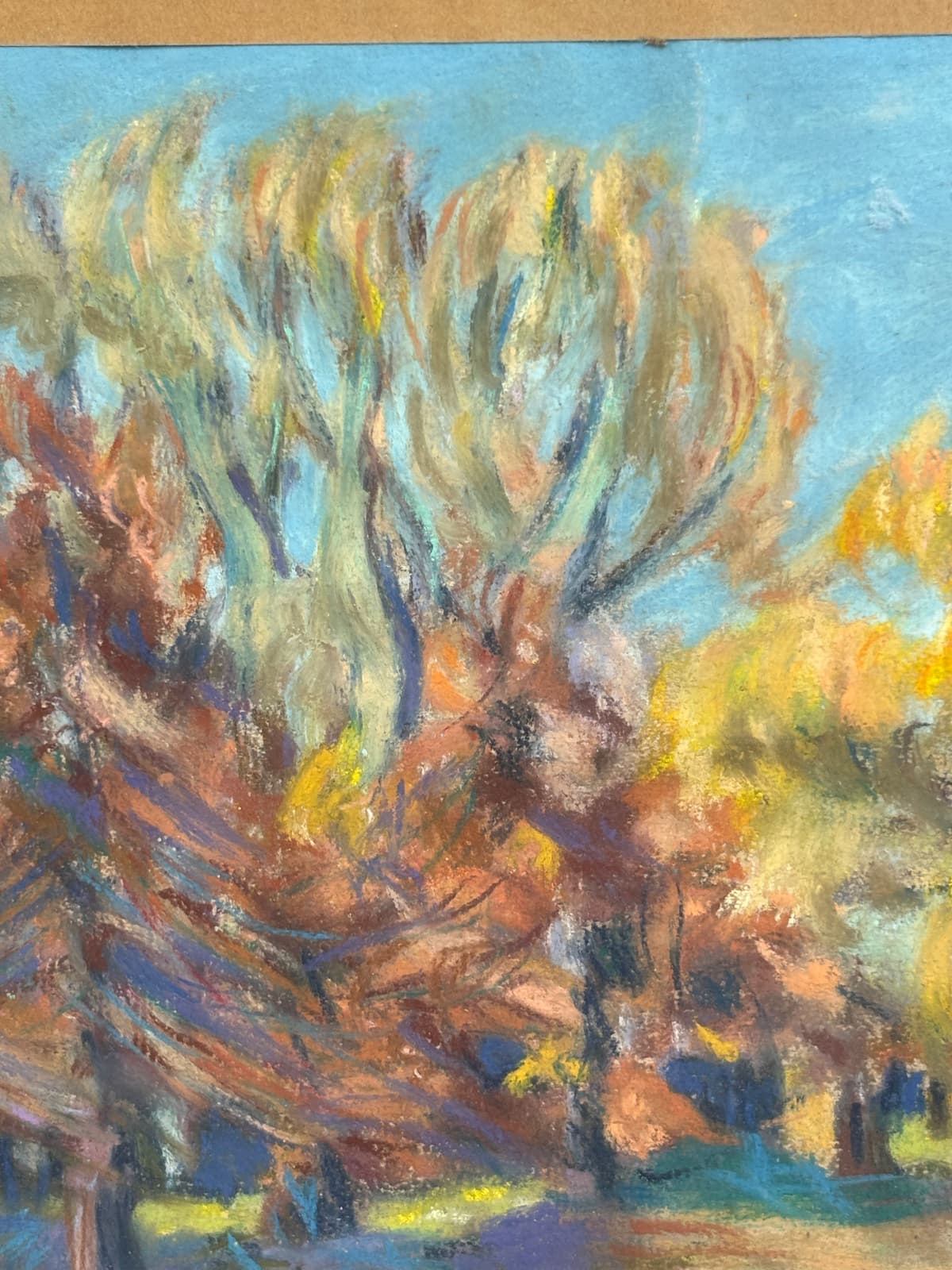 Őszi fények a ligetben