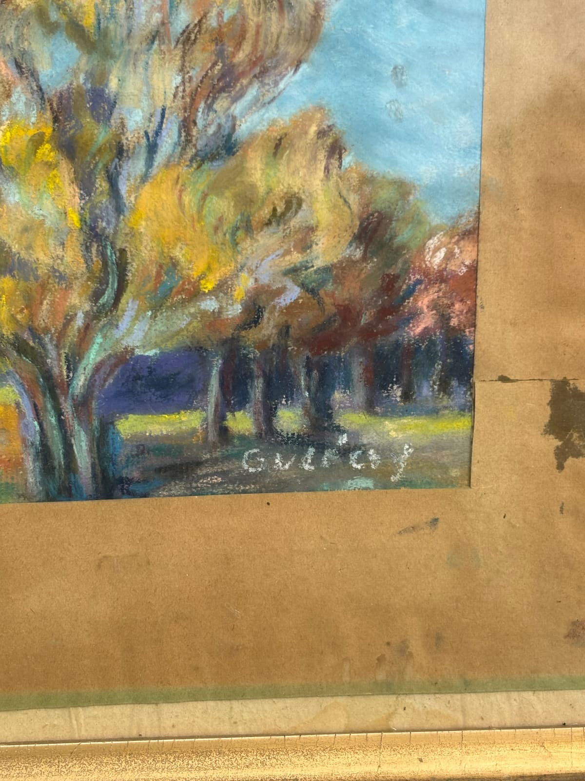 Őszi fények a ligetben