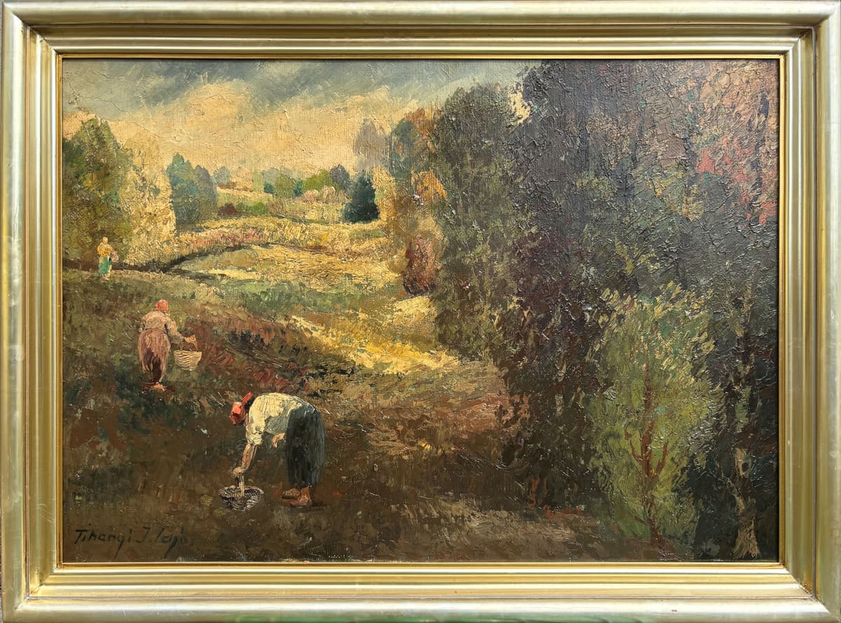 Betakarítás a mezőn