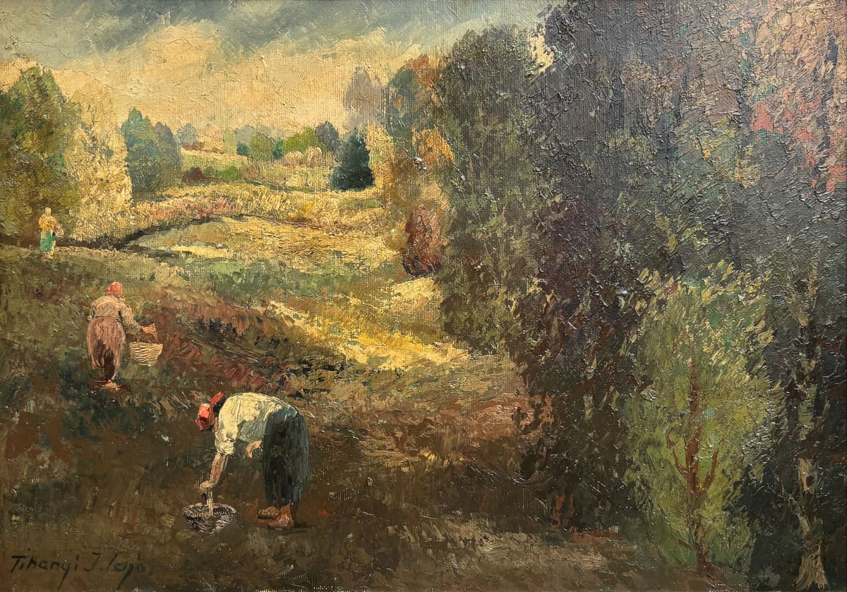 Betakarítás a mezőn