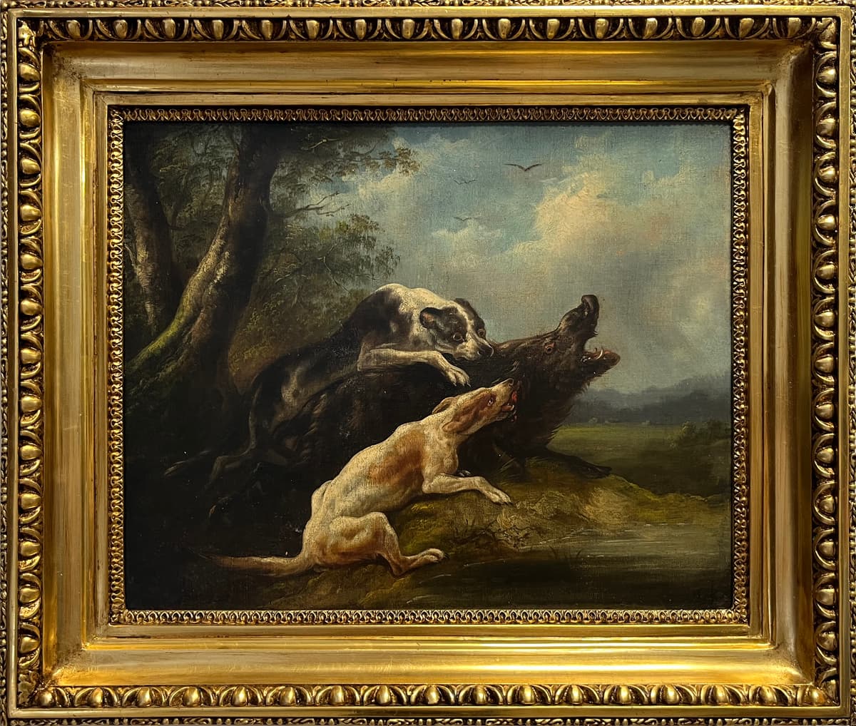 Hounds bringing down a Boar
