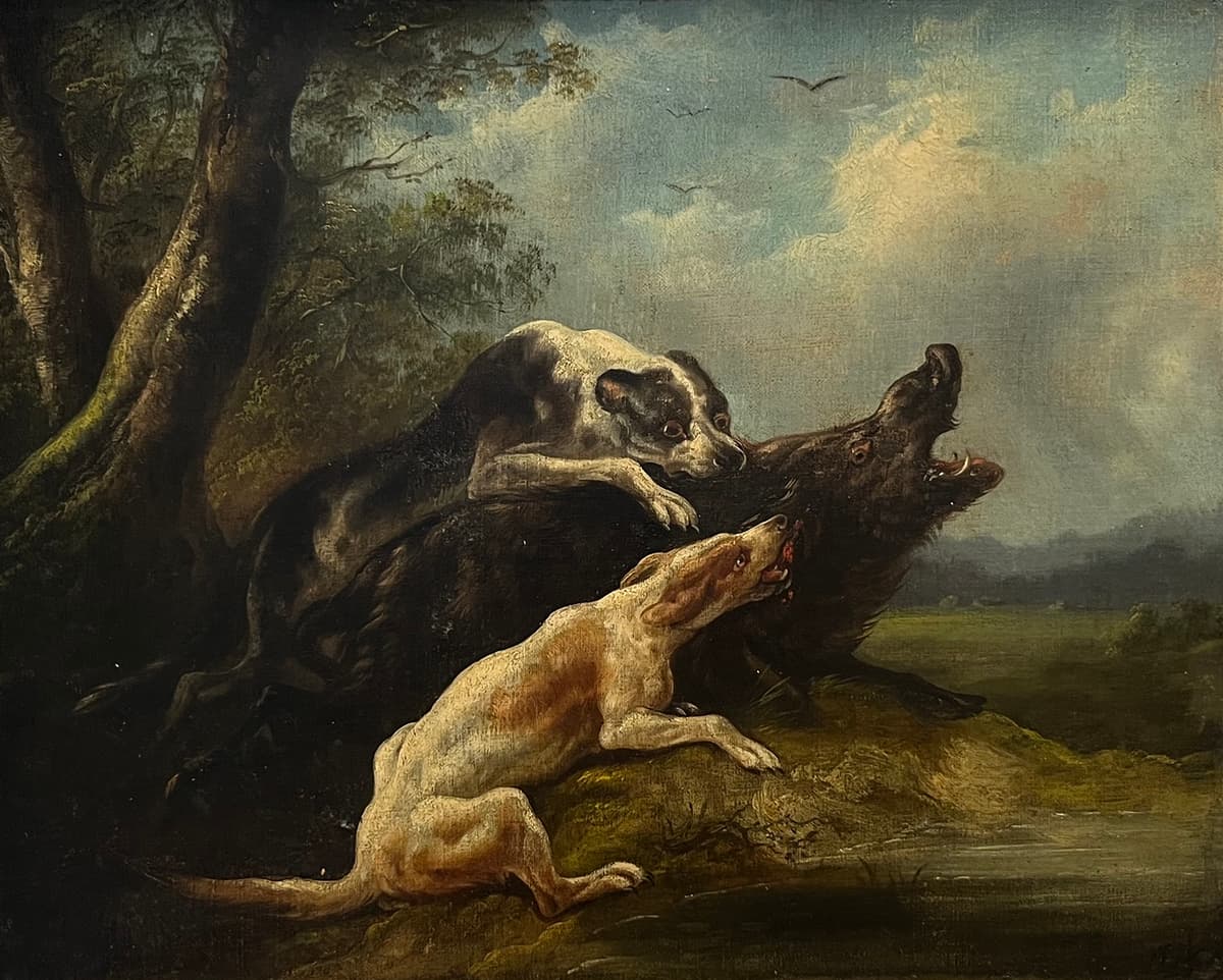 A kopók leterítik a vadkant