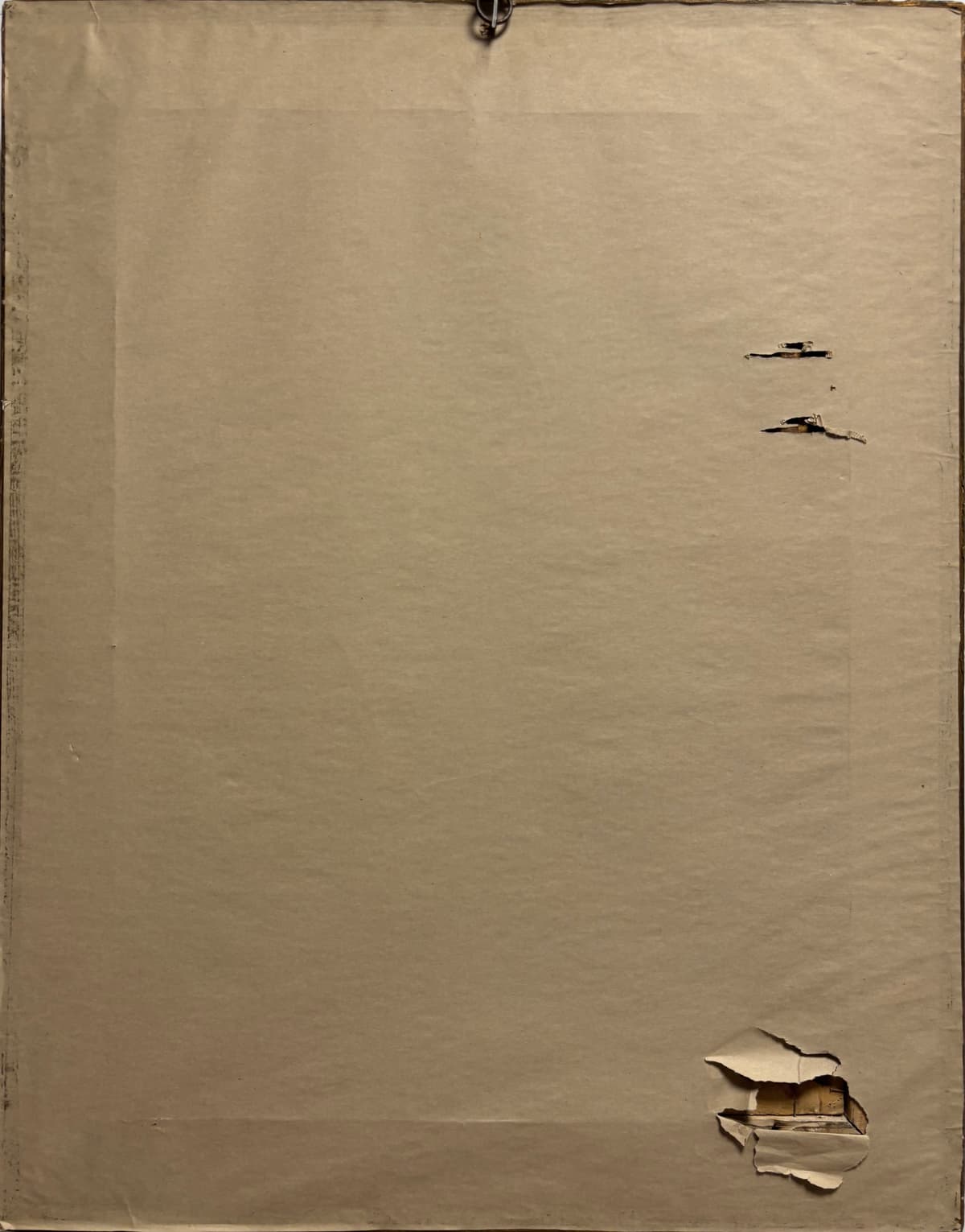 Vázába zárt szépség