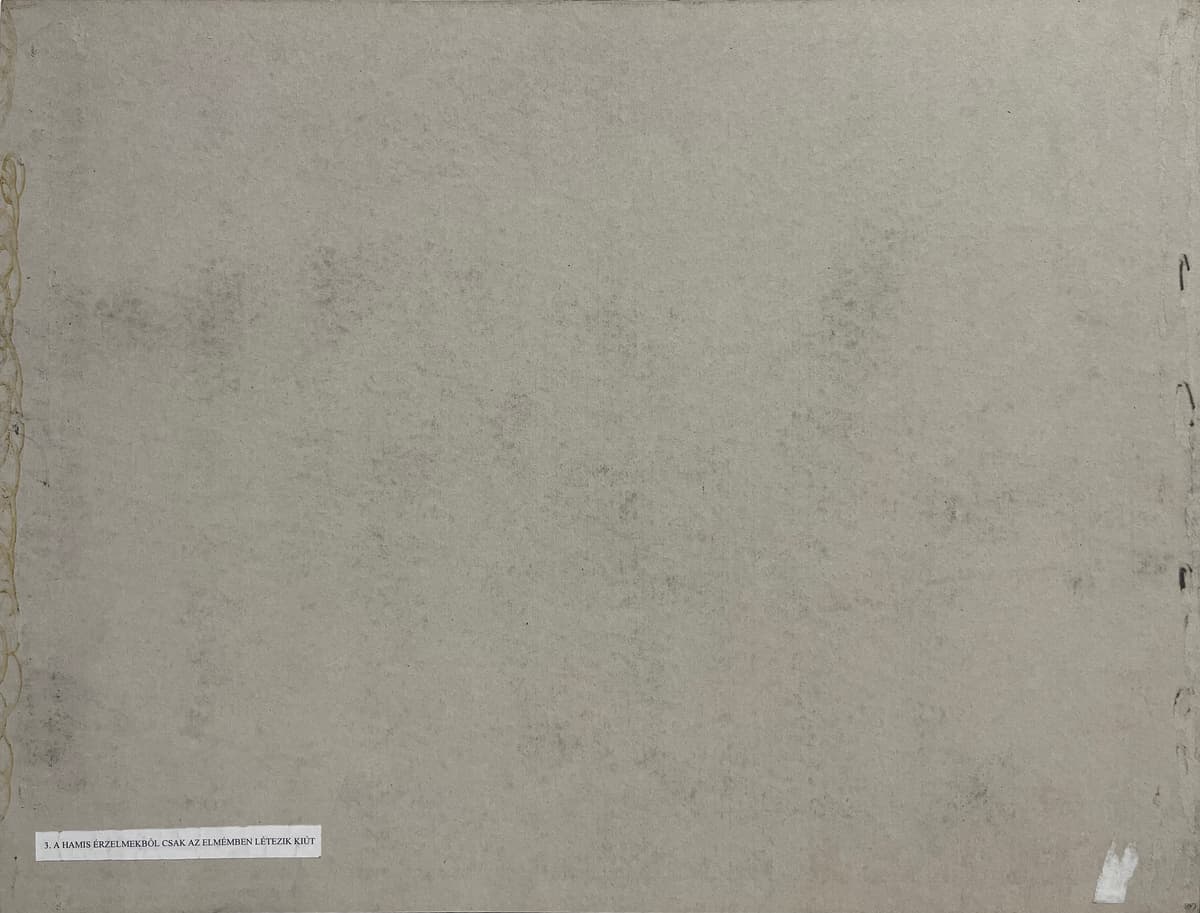 A hamis érzelmekből csak az elmémben létezik kiút